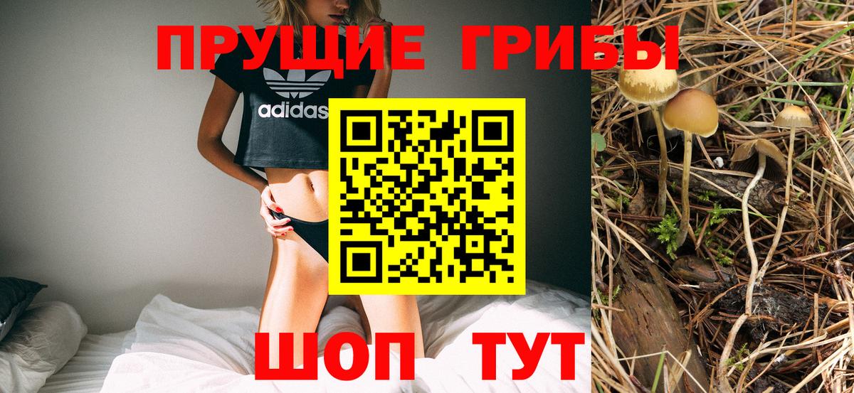 Псилоцибиновые грибы прущие грибы Тихорецк