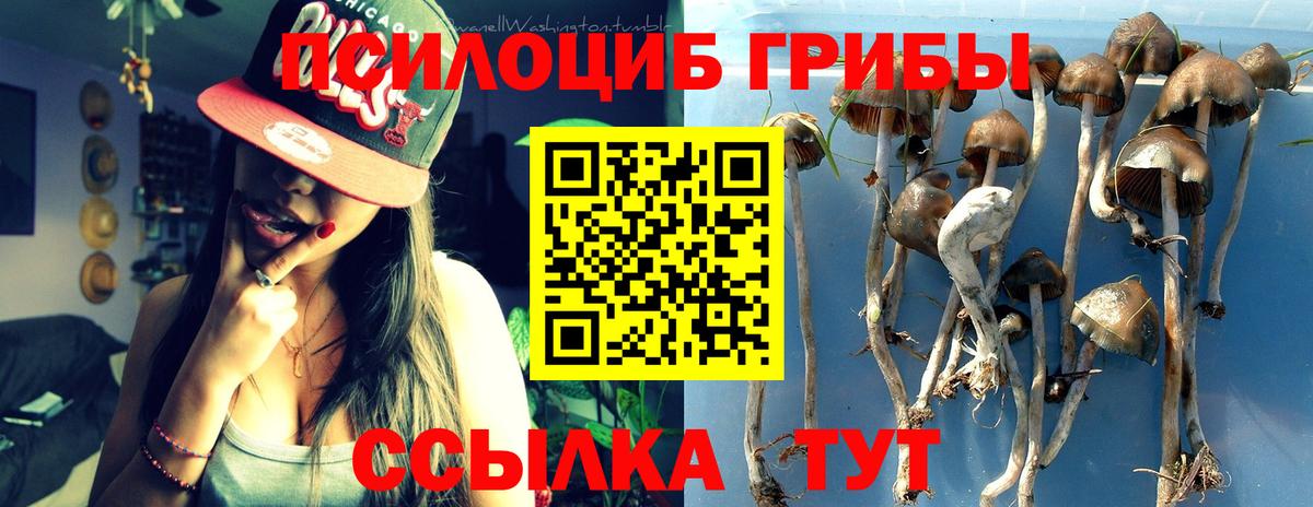 Галлюциногенные грибы Psilocybine cubensis  Вход с VPN  Тихорецк 